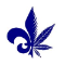 Quebec Cannabis Seeds Coupons Quebec Cannabis Seeds Coupons